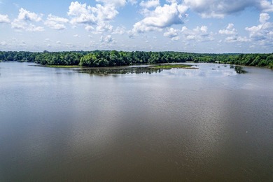 1500 FEET OF WATER FRONTAGE on beautiful Lake Sinclair. This - photo 2