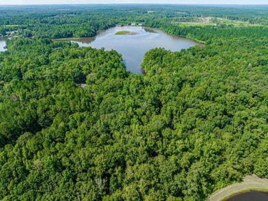 1500 FEET OF WATER FRONTAGE on beautiful Lake Sinclair. This - photo 3