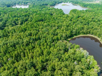 1500 FEET OF WATER FRONTAGE on beautiful Lake Sinclair. This - photo 4