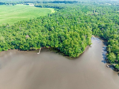 1500 FEET OF WATER FRONTAGE on beautiful Lake Sinclair. This - photo 5