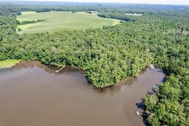 1500 FEET OF WATER FRONTAGE on beautiful Lake Sinclair. This - photo 6