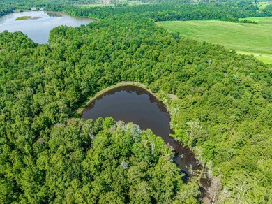1500 FEET OF WATER FRONTAGE on beautiful Lake Sinclair. This - photo 7