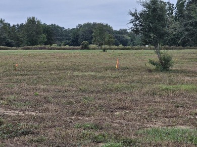 Welcome to this amazing opportunity. Over 10 acres of land with - photo 11
