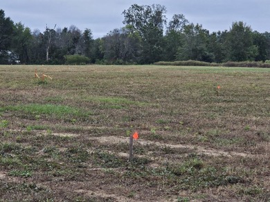 Welcome to this amazing opportunity. Over 10 acres of land with - photo 12