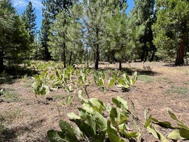 WHERE THE PINES MEET LUXURY LIVING! Discover the perfect setting - photo 12