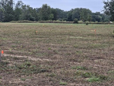 Welcome to this amazing opportunity. Over 10 acres of land with - photo 14