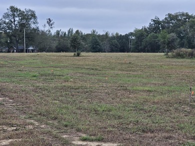 Welcome to this amazing opportunity. Over 10 acres of land with - photo 15