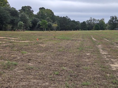 Welcome to this amazing opportunity. Over 10 acres of land with - photo 16