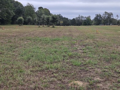 Welcome to this amazing opportunity. Over 10 acres of land with - photo 17