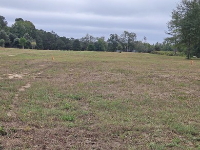 Welcome to this amazing opportunity. Over 10 acres of land with - photo 18