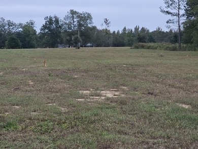 Welcome to this amazing opportunity. Over 10 acres of land with - photo 19