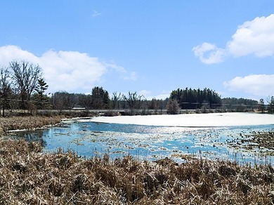 (private lake, pond, creek) Acreage Sale Pending in Albion Michigan