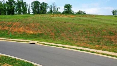 Lake Lot For Sale in Morristown, Tennessee