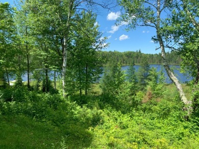 WINIFRED LAKE LEGACY WITH LONE PINE LAKE FRONTAGE: Not offered - Lake Home For Sale in Presque Isle, Wisconsin