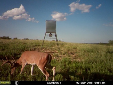 The 392 acre CM Ranch is a turnkey, full scale Texas ranch built - photo 37