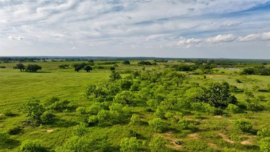 The 392 acre CM Ranch is a turnkey, full scale Texas ranch built - photo 39
