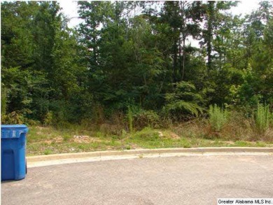 Oxfords Meadow Lake Lot For Sale in Oxford Alabama