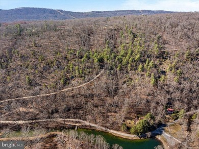 4.83-acre wooded lot in Capon Bridge offering privacy, natural - photo 4