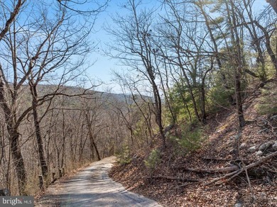 4.83-acre wooded lot in Capon Bridge offering privacy, natural - photo 8