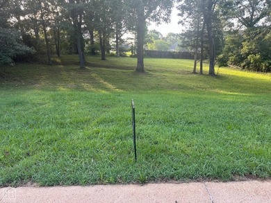 Beautiful lot to build your luxury home - photo 2