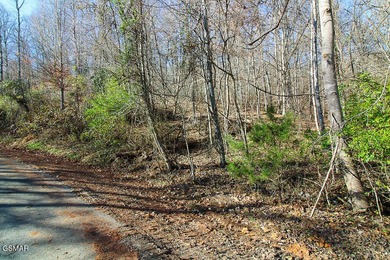 Norris Lake Lot For Sale in New Tazewell Tennessee