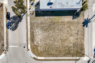 High-Exposure Downtown Cape Coral Investment Opportunity! - photo 3