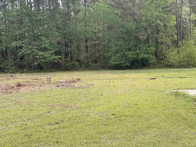 Prime .68-acre parcel on Highway 707 in Myrtle Beach, * - photo 1