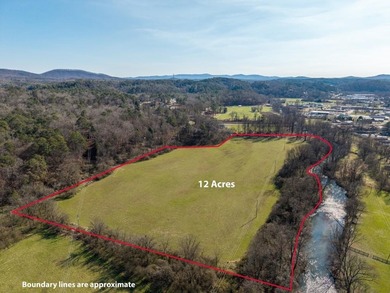 (private lake, pond, coastal) Lot For Sale in Ellijay Georgia