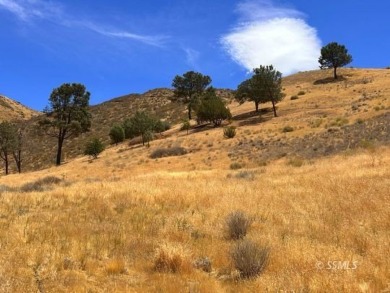 Lake Acreage For Sale in Lake Isabella, California