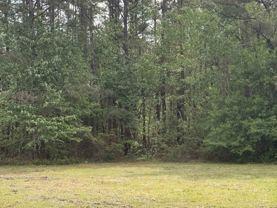 Prime .68-acre parcel on Highway 707 in Myrtle Beach, * - photo 3