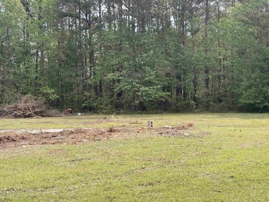 Prime .68-acre parcel on Highway 707 in Myrtle Beach, * - photo 4