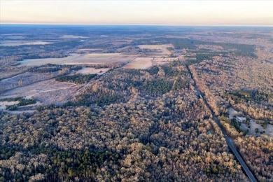 (private lake, pond, coastal) Acreage For Sale in Americus Georgia