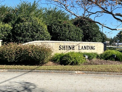 Located in the sought-after Shine Landing gated community, this - photo 24