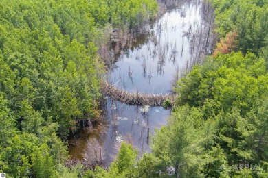 (private lake, pond, creek) Acreage For Sale in Millersburg Michigan
