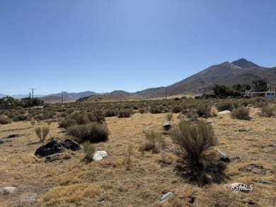 Lake Acreage For Sale in Weldon, California