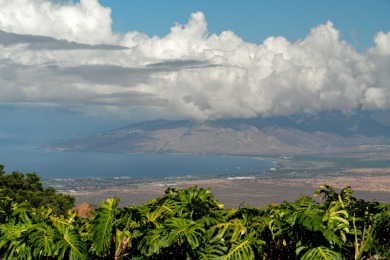 Set in one of Kula's premier Upcountry locations, this nearly 4 - photo 8