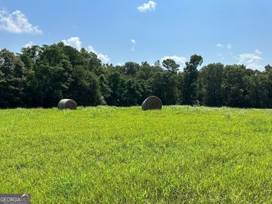 Don't miss this opportunity to build your dream home or develop - photo 3