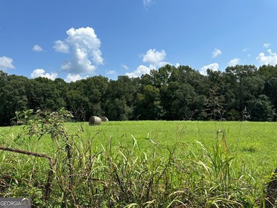 Don't miss this opportunity to build your dream home or develop - photo 4