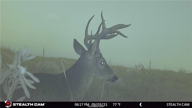 25% of mineral rights to convey!!! Nestled in peaceful Mart, TX - photo 4