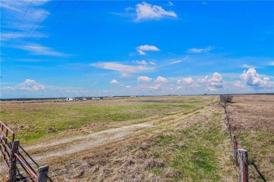 25% of mineral rights to convey!!! Nestled in peaceful Mart, TX - photo 6