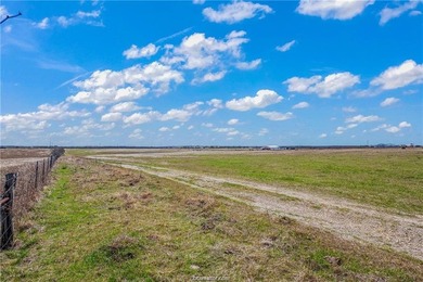 25% of mineral rights to convey!!! Nestled in peaceful Mart, TX - photo 8
