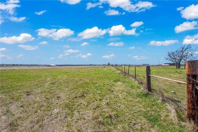 25% of mineral rights to convey!!! Nestled in peaceful Mart, TX - photo 9
