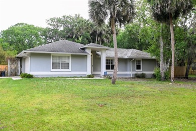Lake Home For Sale in Deltona, Florida