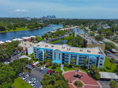 (private lake, pond, creek) Condo For Sale in Tampa Florida