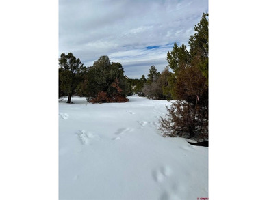 Mark J Covington, RE/MAX Alpine View, C:,,: .919 acre lot with a - photo 12