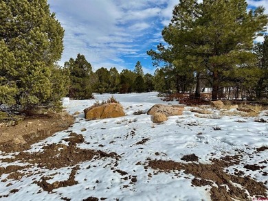 Mark J Covington, RE/MAX Alpine View, C:,,: .919 acre lot with a - photo 13