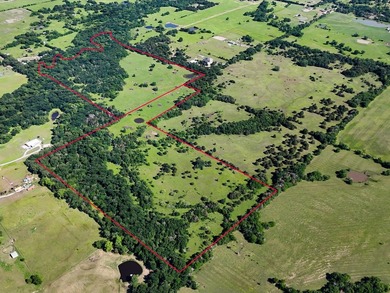 YOUR OWN SLICE OF HEAVEN! Two 30-Acre Tracts in the HIGHLY - photo 13