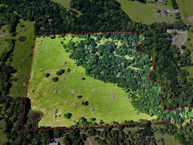 YOUR OWN SLICE OF HEAVEN! Two 30-Acre Tracts in the HIGHLY - photo 14