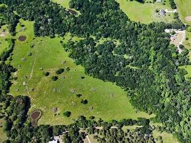 YOUR OWN SLICE OF HEAVEN! Two 30-Acre Tracts in the HIGHLY - photo 18