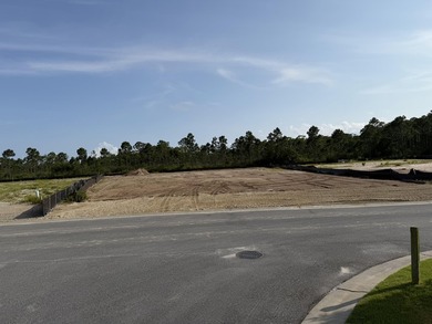 LOT 49 Watersound Camp Creek. 129 ft at waterfront. 0.41 acres - photo 1